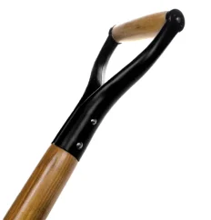 3829