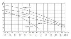 50446