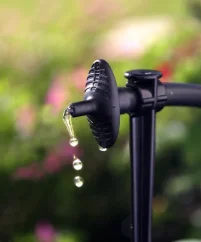 45982