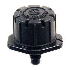 45954