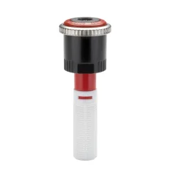 31065